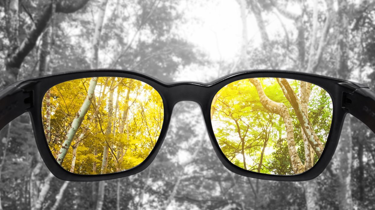 Daltonismo: quais as causas e como diagnosticá-lo