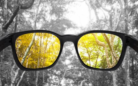 Daltonismo: quais as causas e como diagnosticá-lo